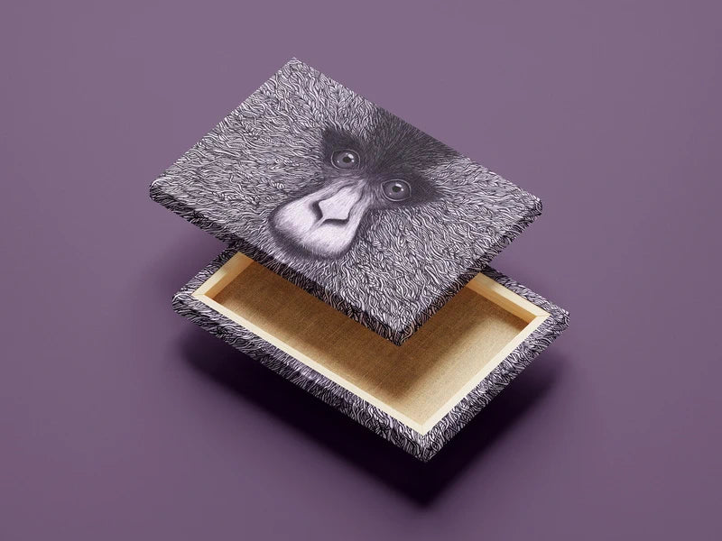 Abstract Monkey Face Wall Art